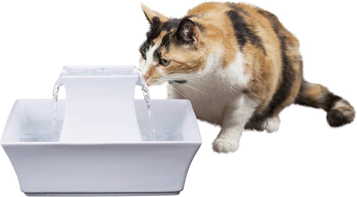 PetSafe Drinkwell Original Pet Fountain